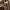 https://res.cloudinary.com/billionhands/image/upload/v1775570807/items/j2wm0ztniq70epymnmdo.jpg-1cover