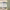 https://res.cloudinary.com/billionhands/image/upload/v1775571089/items/tddynlziaafbvmyxne99.webp-3cover