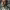 https://res.cloudinary.com/billionhands/image/upload/v1775571186/items/m3abxd5ptucm85v0dccb.jpg-2cover