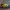 https://res.cloudinary.com/billionhands/image/upload/v1775571357/items/sulvdhro1ohksnqc7cx7.jpg-1cover