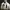 https://res.cloudinary.com/billionhands/image/upload/v1775571424/items/rhmd2w1et0qe4nblvrkg.jpg-0cover