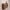 https://res.cloudinary.com/billionhands/image/upload/v1775571449/items/rfmaj9hd1cekfnsj6mdm.webp-1cover