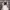 https://res.cloudinary.com/billionhands/image/upload/v1775572136/items/kjijpulpzprscmqgt3t8.webp-3cover