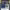 https://res.cloudinary.com/billionhands/image/upload/v1775572213/items/bciunngfvwqngmlec0wz.png-0cover