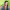 https://res.cloudinary.com/billionhands/image/upload/v1775572262/items/iuosocoittcuqigfog4n.webp-2cover