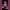 Win Bein What you mean (Spore creature) cover