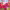 https://res.cloudinary.com/billionhands/image/upload/v1775572324/items/t8o3d348qkg8tmvt3zel.png-0cover