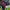 https://res.cloudinary.com/billionhands/image/upload/v1775572504/items/x6pwbiyczj6ivfcjfybg.jpg-1cover
