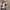 https://res.cloudinary.com/billionhands/image/upload/v1775572574/items/a0fhmtbtdu76nvy1ptkv.jpg-1cover