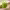 https://res.cloudinary.com/billionhands/image/upload/v1775572616/items/nn3bu9wmrjhhqvtvlyu0.jpg-3cover