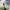 https://res.cloudinary.com/billionhands/image/upload/v1775572840/items/hvgmfx7gtvmxitku3bk9.jpg-2cover