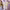 https://res.cloudinary.com/billionhands/image/upload/v1775573014/items/wyjfaveiorllcdldugem.webp-0cover