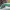 https://res.cloudinary.com/billionhands/image/upload/v1775573321/items/ufx8uf7tuv6jxtynekv1.jpg-0cover