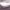https://res.cloudinary.com/billionhands/image/upload/v1775573604/items/dpfvwsghqvshwlofcrwn.webp-1cover