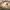 https://res.cloudinary.com/billionhands/image/upload/v1775573706/items/ezsxsfuwospx45jmnts0.jpg-2cover