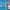 Moz Blog cover
