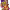 Takis Fuego (2025-2026) cover