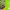 https://res.cloudinary.com/billionhands/image/upload/v1775573906/items/ajsaextjech8zzetz9qx.webp-2cover