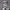 Lucy Is Enceinte (I Love Lucy) cover