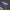 https://res.cloudinary.com/billionhands/image/upload/v1775574125/items/fhor6nswwzei7atgl9jx.jpg-0cover