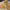 https://res.cloudinary.com/billionhands/image/upload/v1775574259/items/rctgmwihvkhu8ugquzd4.jpg-0cover