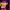 https://res.cloudinary.com/billionhands/image/upload/v1775574350/items/xawiaj3sioyzxtxi6txa.jpg-3cover