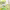 https://res.cloudinary.com/billionhands/image/upload/v1775574374/items/q1u9ccaeq67aaenorg0w.jpg-0cover