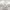 https://res.cloudinary.com/billionhands/image/upload/v1775574466/items/xyanocpardppvfofrsiy.webp-1cover