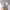 https://res.cloudinary.com/billionhands/image/upload/v1775574602/items/zumwzbc3vcggfhosci1f.jpg-1cover