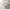 https://res.cloudinary.com/billionhands/image/upload/v1775574644/items/eqhgmau6gtolaieb3mrs.jpg-2cover