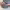 https://res.cloudinary.com/billionhands/image/upload/v1775574658/items/t0n6snfnlopfbvmbpede.webp-1cover