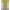 https://res.cloudinary.com/billionhands/image/upload/v1775574789/items/sh5f1xxm4ujsddiyunfg.png-3cover