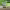 https://res.cloudinary.com/billionhands/image/upload/v1775574817/items/z9baidxlnejevib4bkmd.webp-0cover