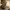 https://res.cloudinary.com/billionhands/image/upload/v1775574844/items/x6f2gekankban1pdcvpe.webp-0cover