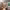 https://res.cloudinary.com/billionhands/image/upload/v1775575003/items/cpwkjfqvyaboiogyvqqs.avif-3cover