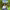 https://res.cloudinary.com/billionhands/image/upload/v1775575074/items/qzzugmkm2qvryzg6yuyn.webp-1cover