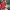 Rumores de ruptura de Taylor Fritz y Morgan Riddle (Abril de 2026) cover