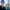 https://res.cloudinary.com/billionhands/image/upload/v1775575168/items/ffnsxjwtkdsu3cgt7mdz.jpg-3cover