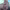 https://res.cloudinary.com/billionhands/image/upload/v1775575286/items/csvlhfokj7uonfw1uwek.jpg-1cover