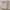 https://res.cloudinary.com/billionhands/image/upload/v1775575287/items/oczohpkhcafgvk1vl479.avif-1cover