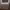 https://res.cloudinary.com/billionhands/image/upload/v1775575307/items/wpweu6nfozs5goxlqpks.jpg-2cover