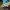 https://res.cloudinary.com/billionhands/image/upload/v1775575352/items/pbu2rwtv8rcyjpgnhlhp.jpg-0cover