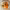 https://res.cloudinary.com/billionhands/image/upload/v1775575367/items/kuzqyhx5sdunbozcv4xz.jpg-0cover