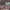 https://res.cloudinary.com/billionhands/image/upload/v1775575421/items/wt4qhajfzgbhtxmoyi0g.jpg-2cover