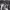 https://res.cloudinary.com/billionhands/image/upload/v1775575638/items/iitqduptbugodoqpvoih.jpg-0cover