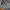 https://res.cloudinary.com/billionhands/image/upload/v1775575871/items/l1v1aexbjsokyxfn0kra.jpg-0cover