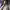 https://res.cloudinary.com/billionhands/image/upload/v1775575874/items/omdxb3da0pum0nalhevp.webp-2cover