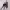 https://res.cloudinary.com/billionhands/image/upload/v1775575880/items/nstiw1wkzjbfywfcfdne.webp-2cover