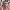 https://res.cloudinary.com/billionhands/image/upload/v1775575907/items/vgzfparww8mrpdrhdxmf.jpg-2cover