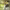 https://res.cloudinary.com/billionhands/image/upload/v1775575968/items/nphl2snfhsyy8sz8qa5p.jpg-1cover